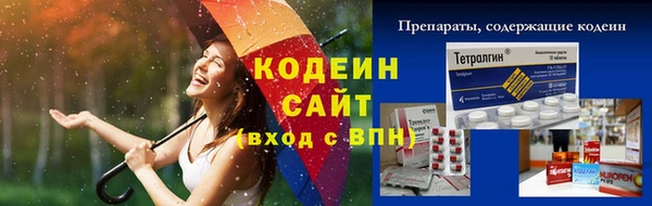 индика Заводоуковск