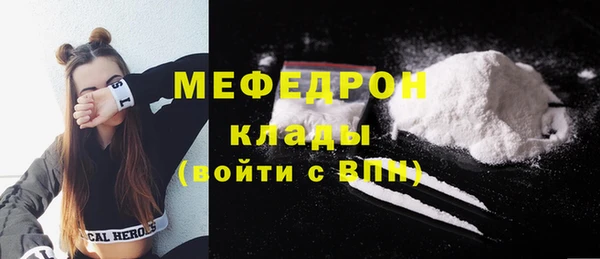 индика Заводоуковск