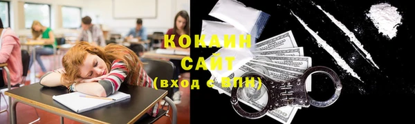 индика Заводоуковск