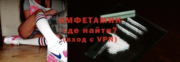 индика Заводоуковск