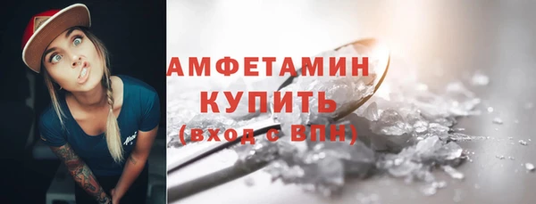индика Заводоуковск