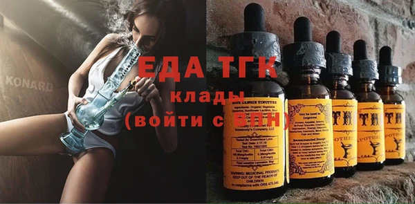 индика Заводоуковск