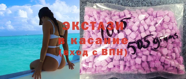 индика Заводоуковск
