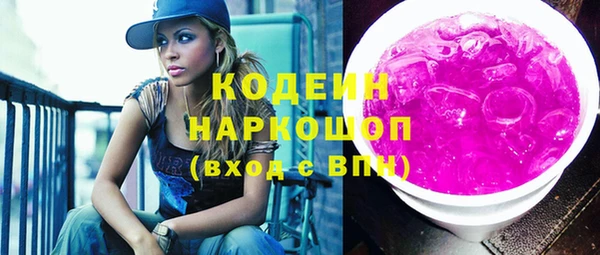 индика Заводоуковск