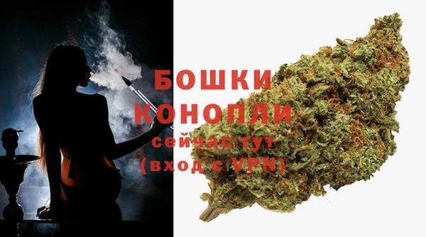 индика Заводоуковск