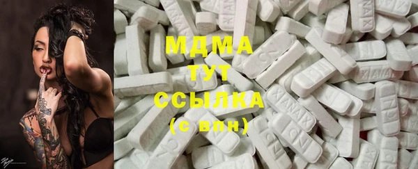 индика Заводоуковск