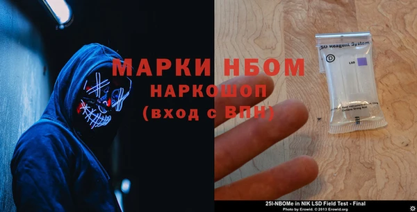 индика Заводоуковск
